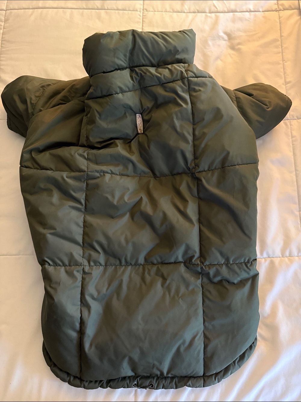 Dog XL Olive Puffer Coat - American Eagle